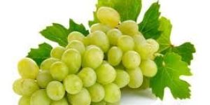 Fresh Indian Grapes