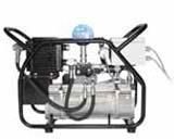 Hydraulic Pump