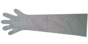 Orthopedic Surgical Instruments