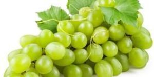 Fresh Green Grapes