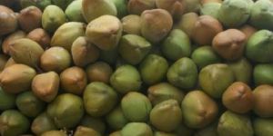 Green Coconut