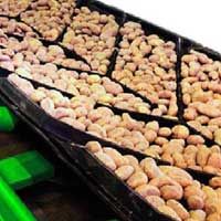 Chevron Cleated Conveyor Belt