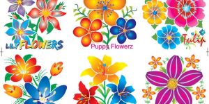 Heat Transfer Sticker Print