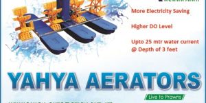 Paddle Wheel Aerator