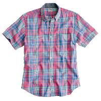 Short Sleeve Shirts