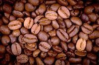 Arabica Coffee