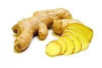 Ginger Root