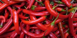 Fresh Red Chilli