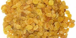 Golden Raisins