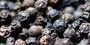 Black Pepper Seeds