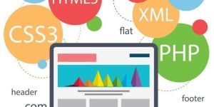 Website Development Services