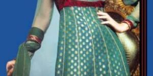 salwar suit Item Code : CSS-02