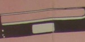 Citizen Ribbon Cassette