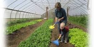 Farm House Development Service