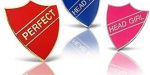 Item Code: - QAS-B-01 Badges