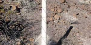 Fencing Cement Poles