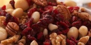 Food Processing Mixers