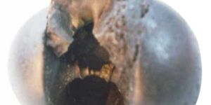 Anant Sayan Shaligram Stone