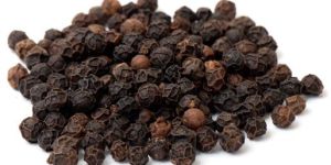 Black Pepper Seeds