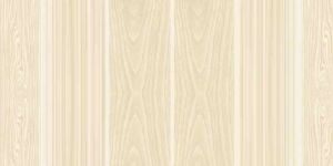 Nano Vitrified Floor Tiles