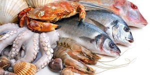 Frozen Seafood