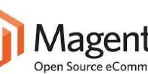 Magento Development