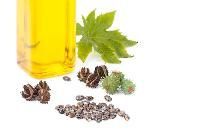 Castor Seeds Oil