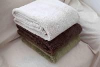 Coral Fleece Blanket