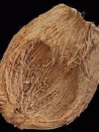 Coconut Coir