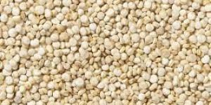Quinoa Grain
