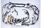 Automobile Wiring Harness