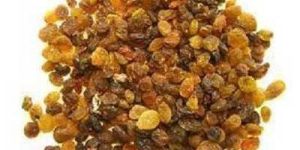 Aditya - Raisin Mix Variety