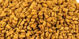 Fenugreek Seeds