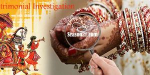 Pre Matrimonial Investigation