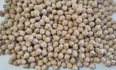 White Chickpeas