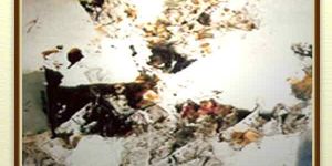 Acrylic Canvas Paintings