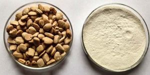 Tamarind Kernel Powder