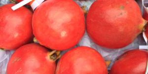 Fresh Pomegranate