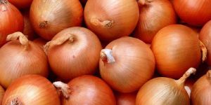Fresh Onions