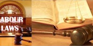 Labour Law Services