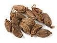 Black Cardamom