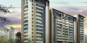 Residential Building Construction Services