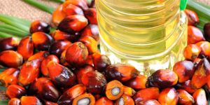Palm Oil