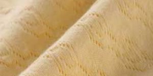 Pointelle Fabric