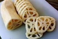 Lotus Root