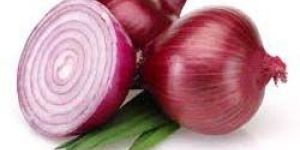 Fresh Red Onion