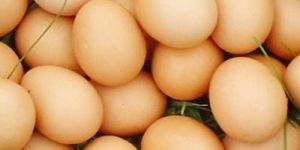 Brown Chicken Eggs