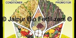 Soil Conditioner Granules