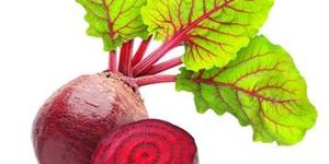 Fresh Beetroot