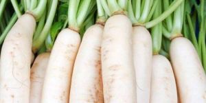 Fresh Radish